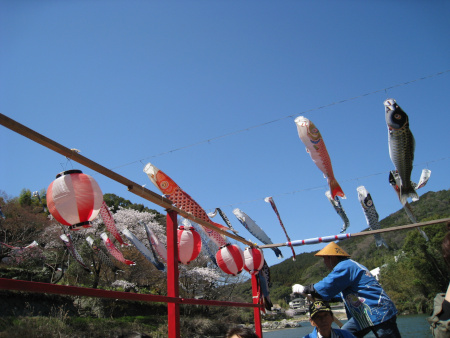 福岡市,税理士事務所,相続税相談,事業承継対策,「桜の歌二首」