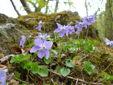福岡市,税理士事務所,相続税相談,事業承継対策,明るい年を迎えるために